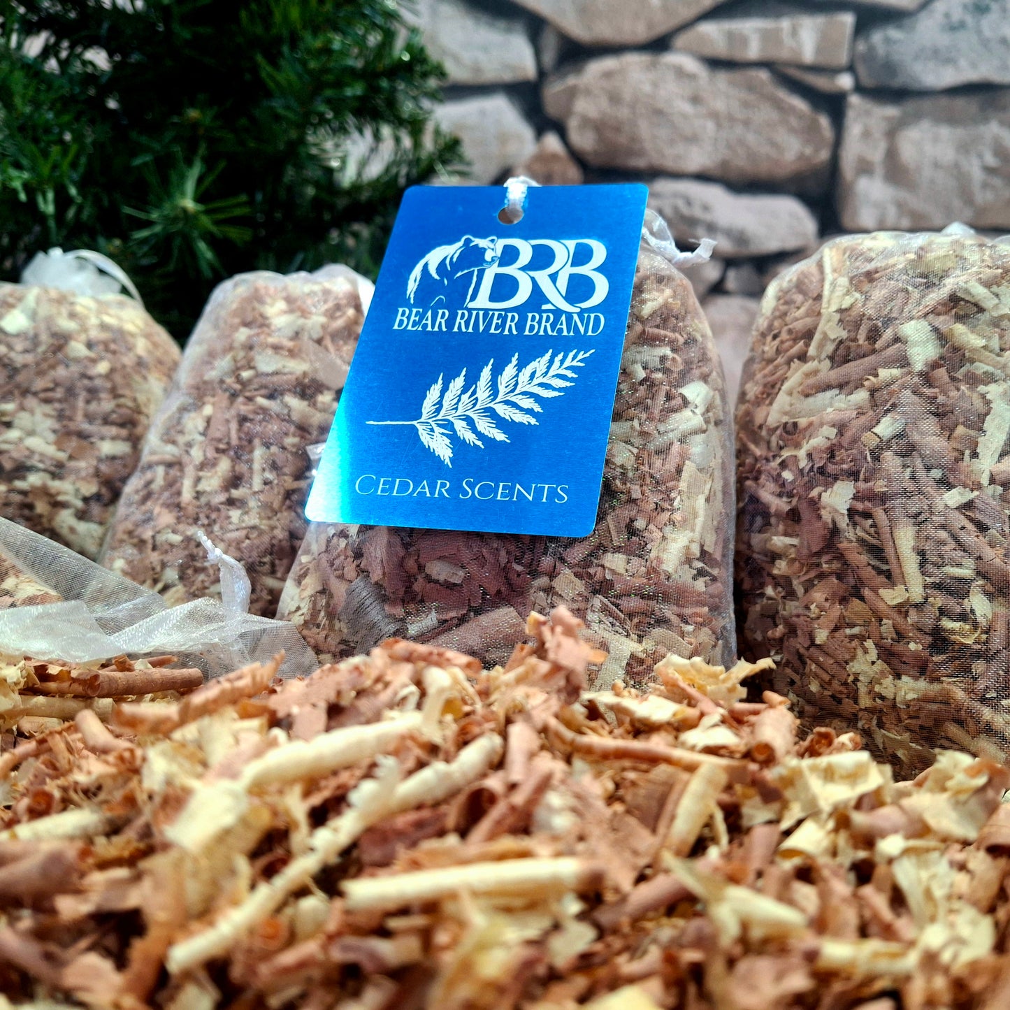 Cedar Scents - 6 pack