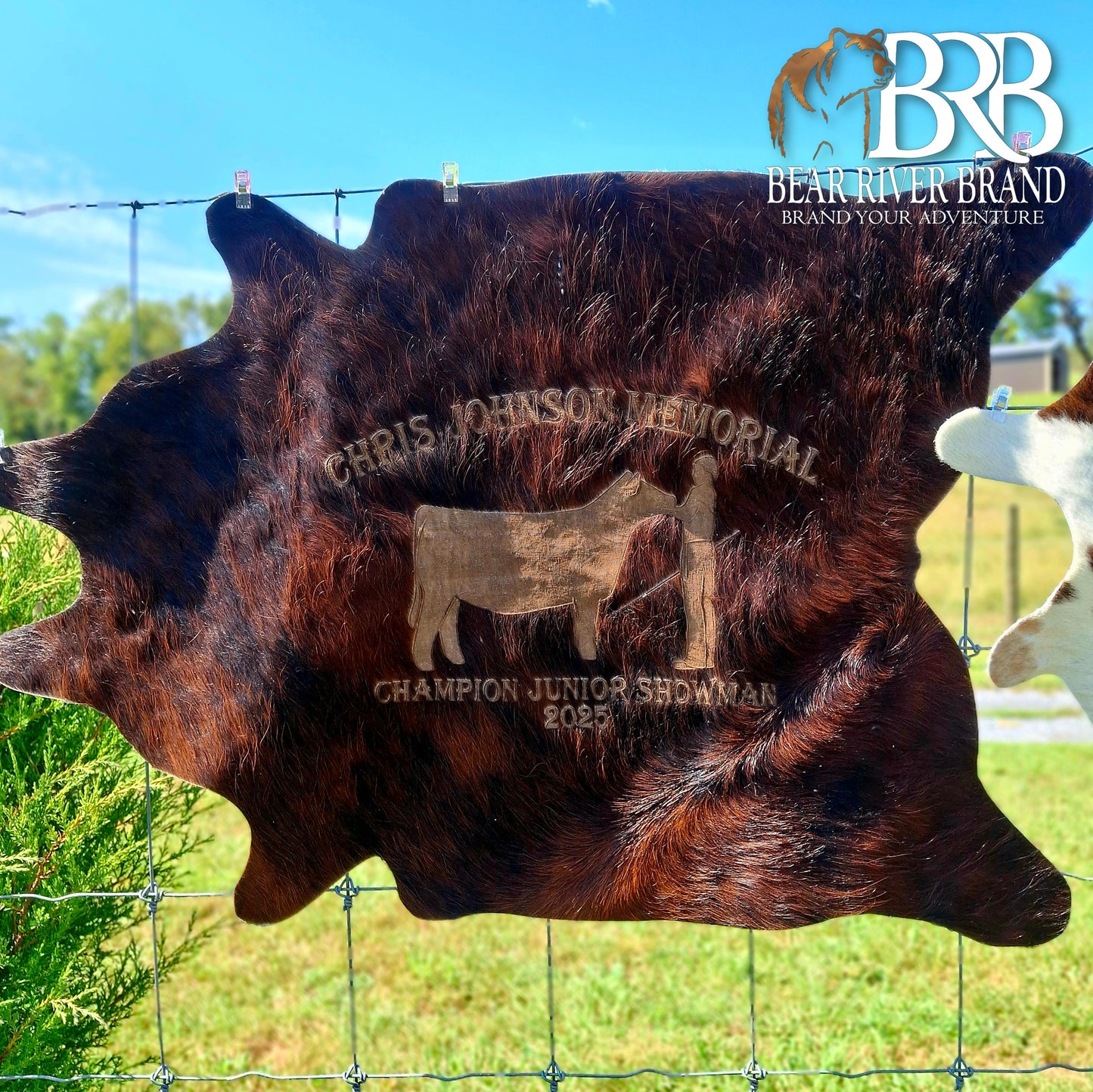 Cowhide Rugs