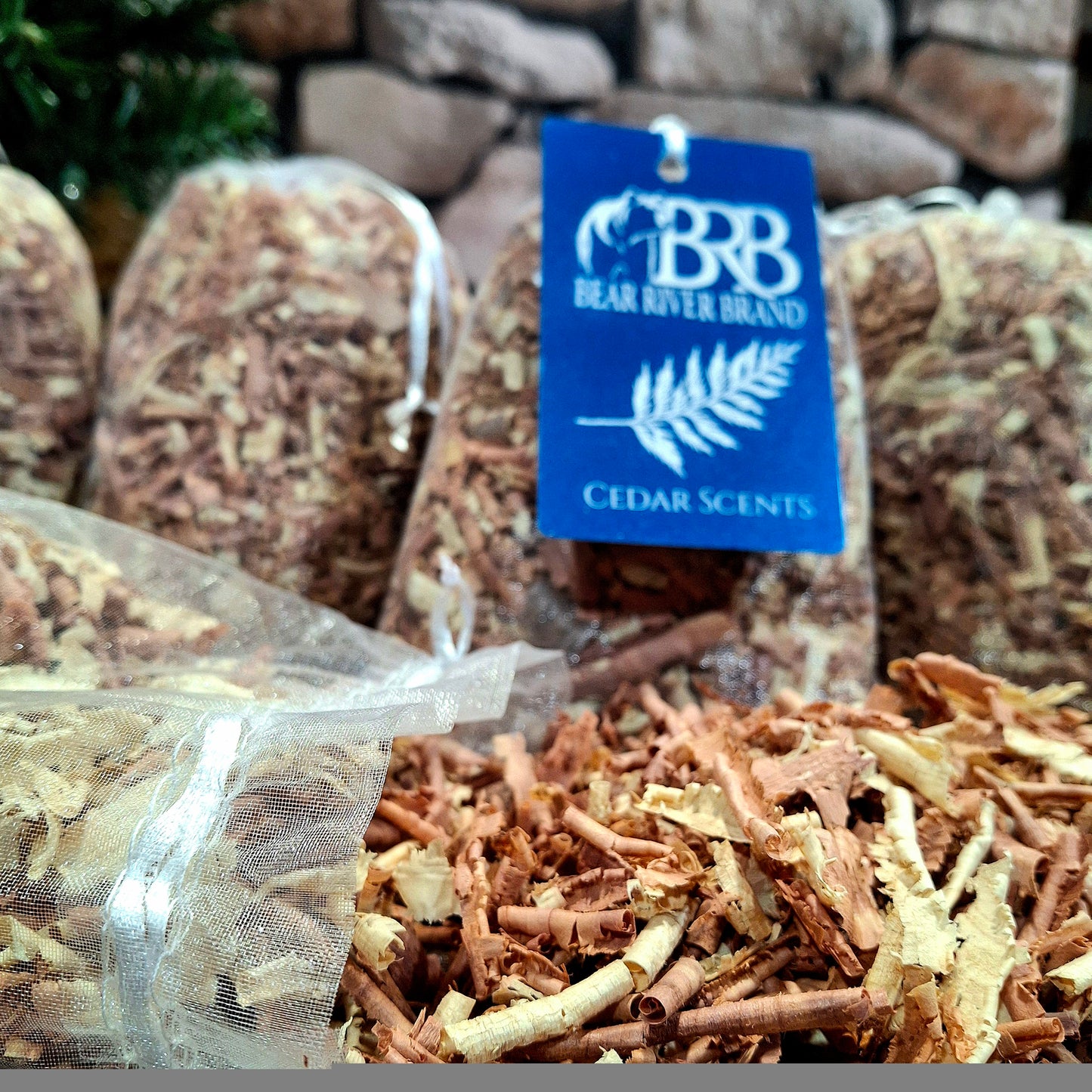Cedar Scents - 6 pack