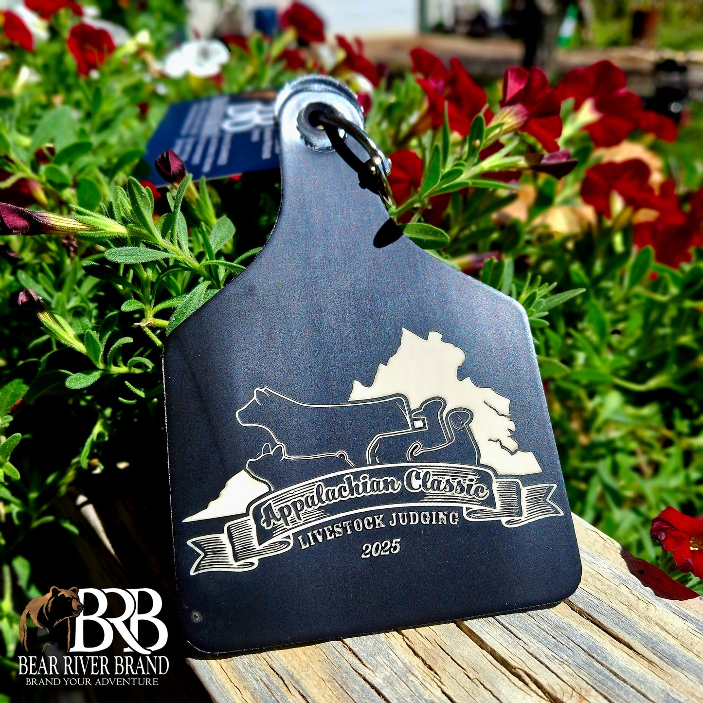 Ritchey Livestock Tags