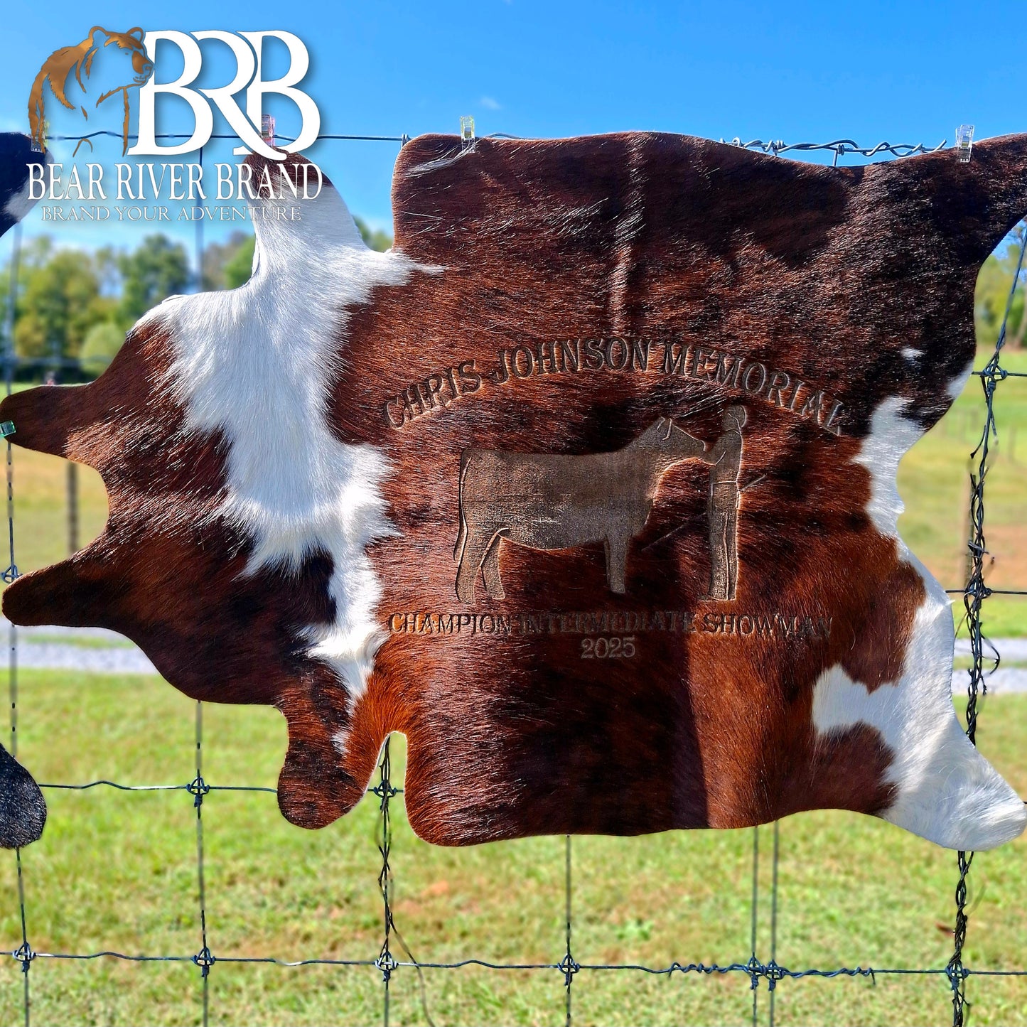 Cowhide Rugs