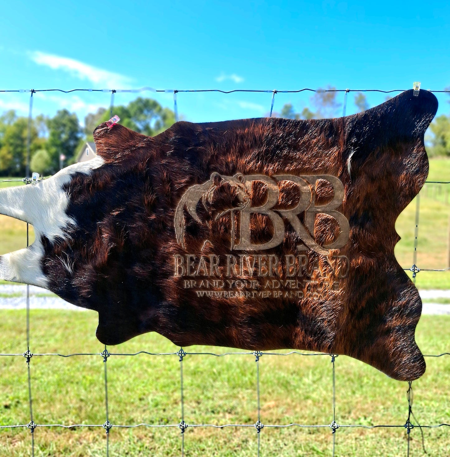 Cowhide Rugs