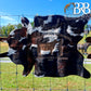 Cowhide Rugs