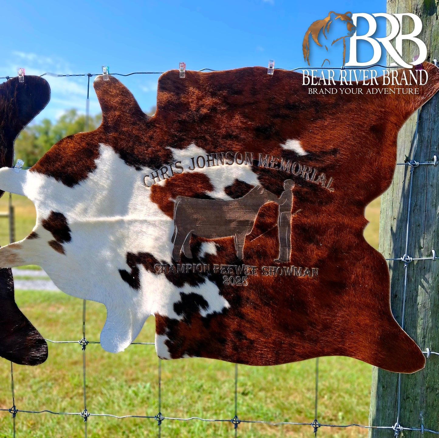 Cowhide Rugs